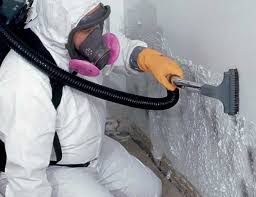 Best Black Mold Removal  in Oak Hill, TN